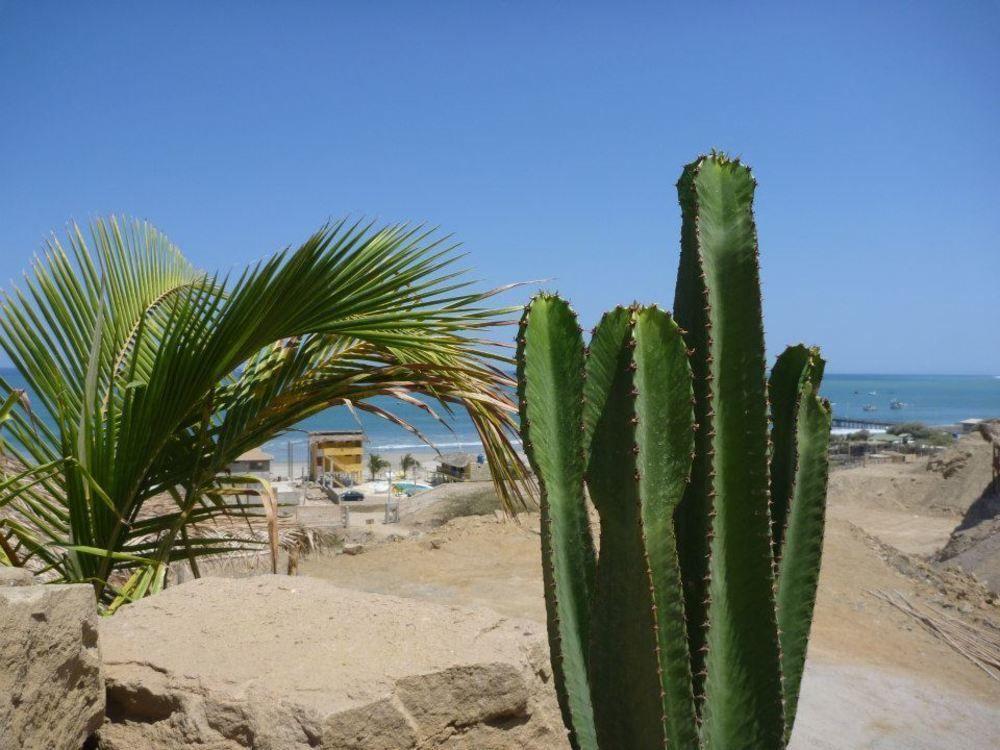 Oceanic Bungalows Los Organos Exterior photo